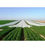 Agrotextil PTX-23gr 7.6m  /m2 (Fotografija 5)