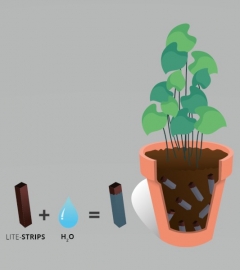 Lite-Strips Bio1 M6 /L