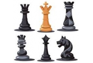 Šahovska sekcija za odrasle