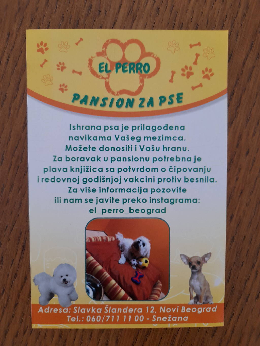Podela i štampa flajera za El Perro. Pansion za pse!!!