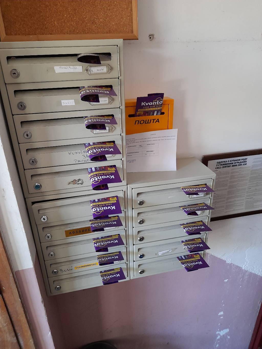 Podela flajera za Kvantalux u Novom Sadu