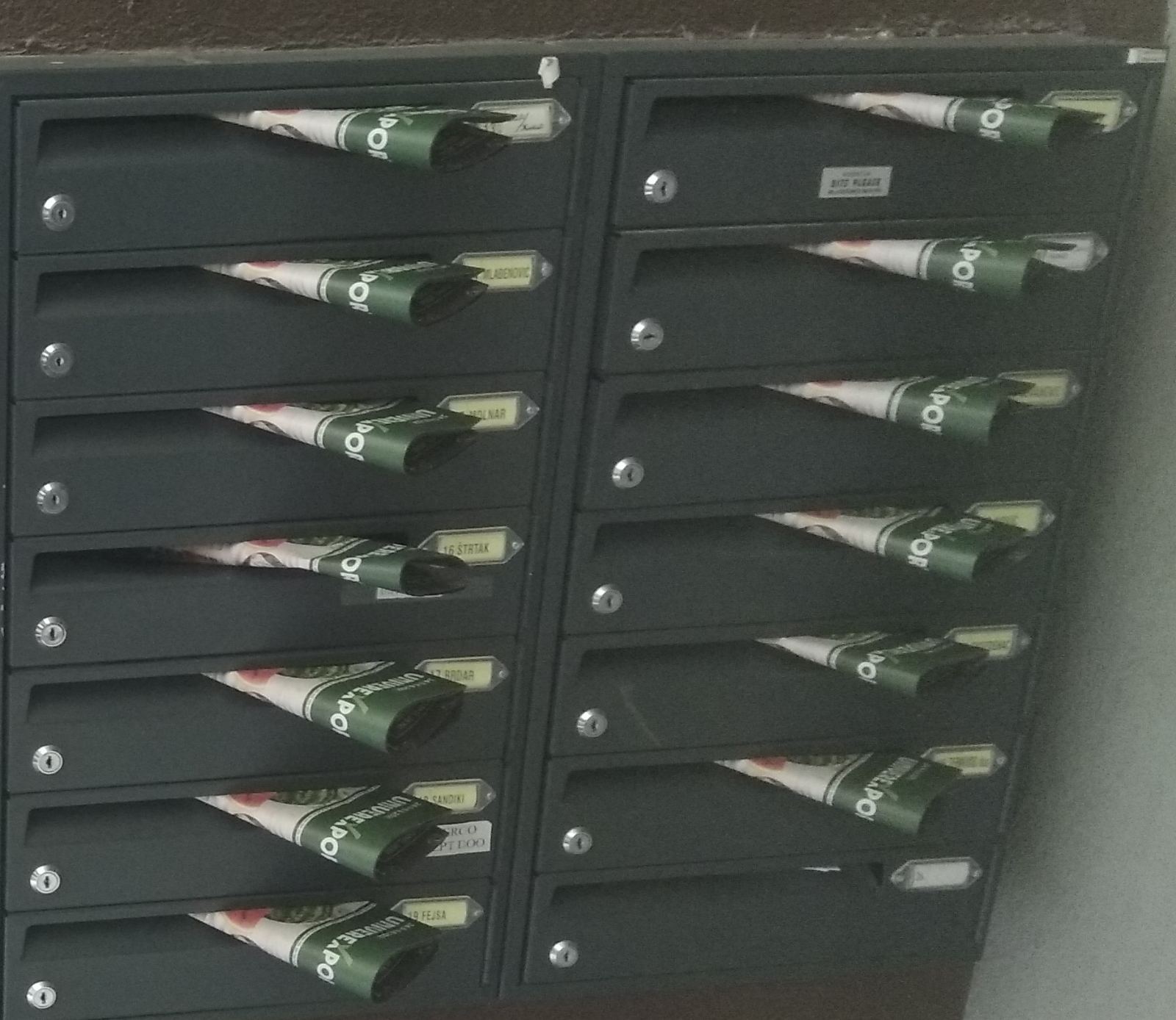 Podela kataloga za UNIVEREXPORT