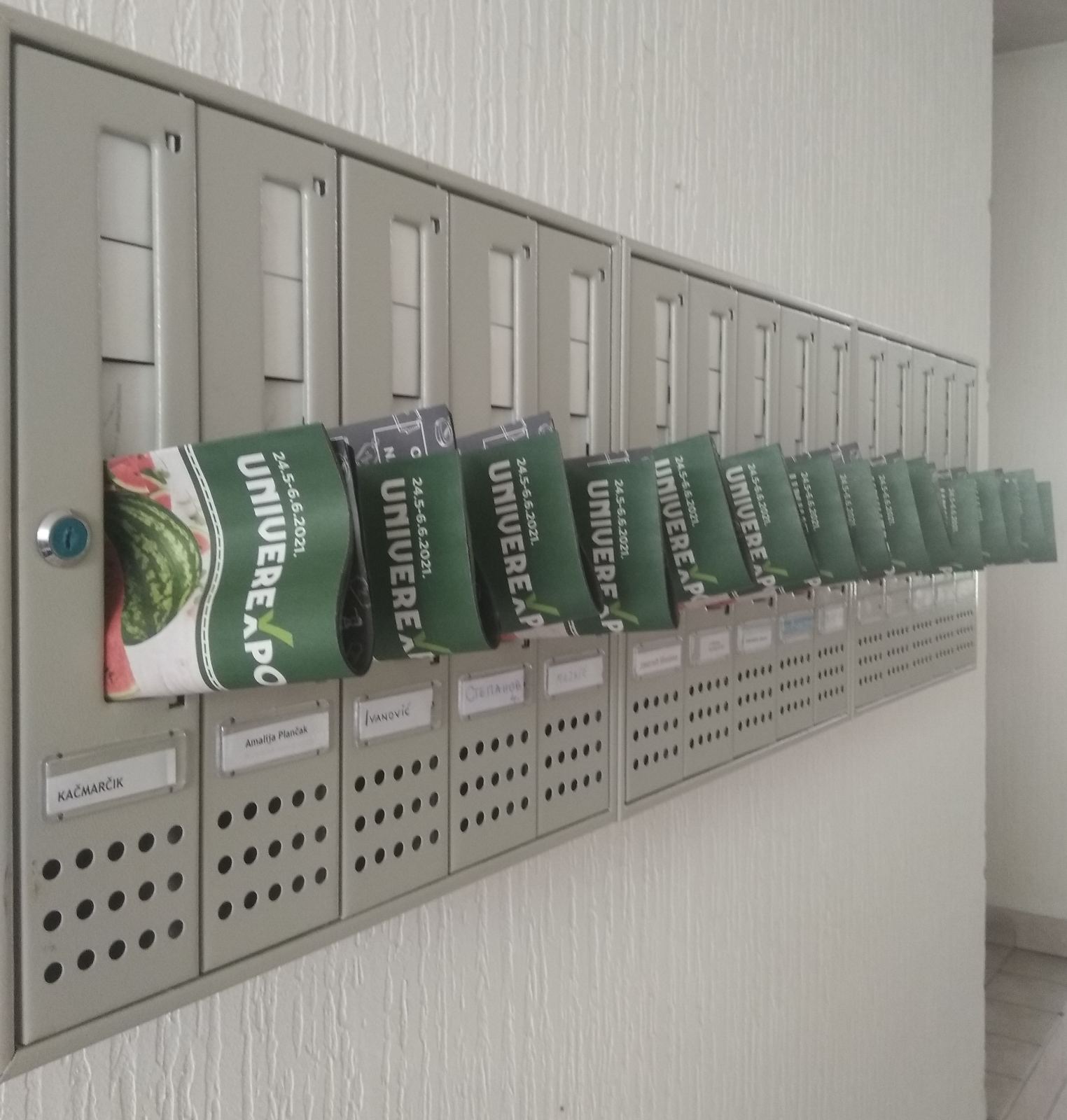 Podela kataloga za UNIVEREXPORT