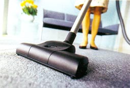 Karcher DS 5600 Velika turbo četka za usisavanje većih površina. Usisavanje tepiha i itisona.