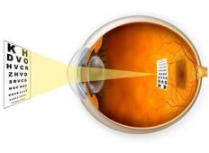 Ordinacija za oftalmologiju 