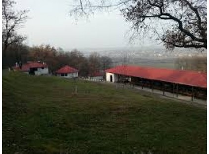 Turci otvaraju klanicu na jugu Srbije