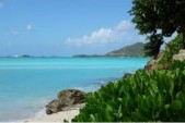 Which is the best Antigua beach for you? ...
