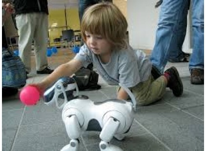 Robot dogs capable of forming emotional bonds, maker claims